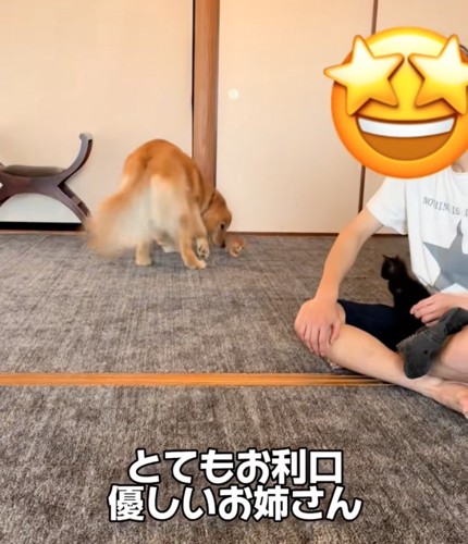 鼻で起こしてあげる犬