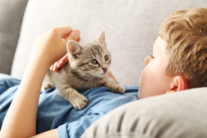 ソファーで少年に撫でられている猫