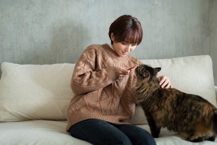 女性からおやつをもらう猫