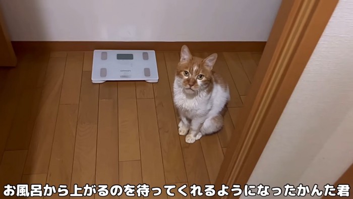 テロップ「お風呂から上がるのを～」