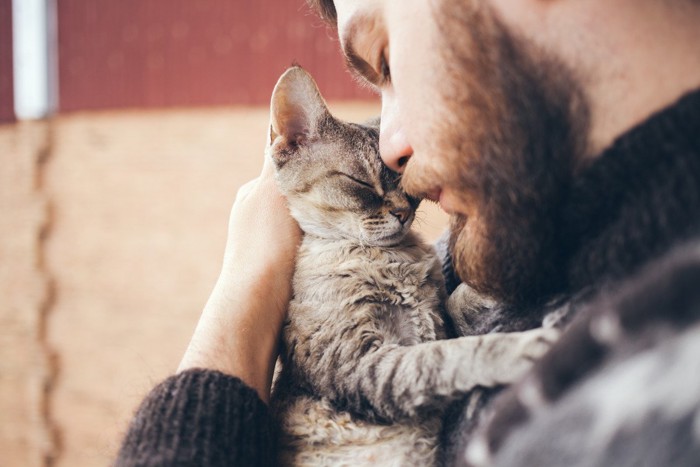 男性に甘えている猫