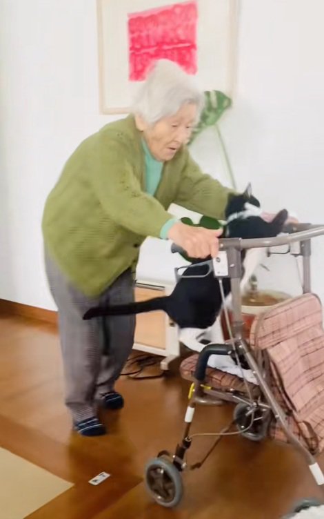 おばあちゃんとカートに乗る猫