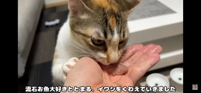 食べる