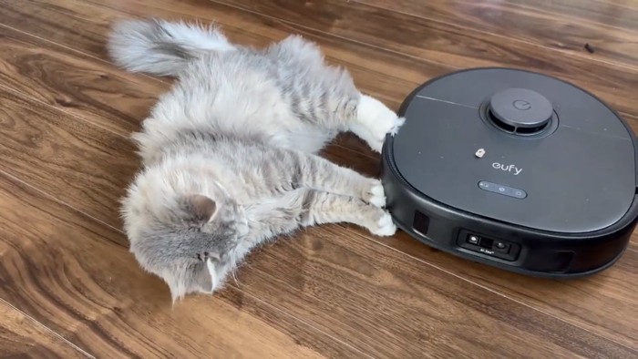 ロボット掃除機に前足を伸ばす猫