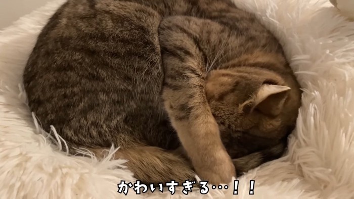 かわいすぎる…！！