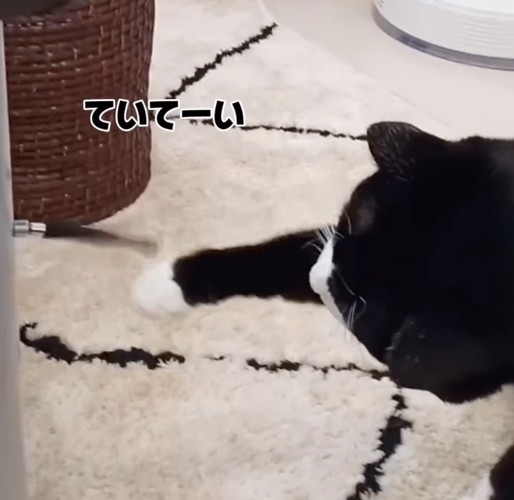 ゆるい猫パンチ