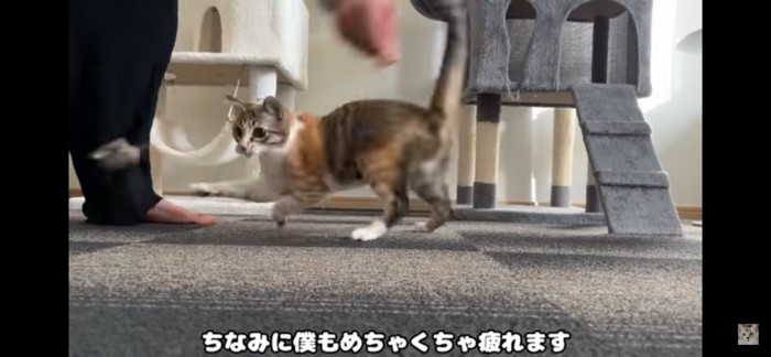 ぐるぐる