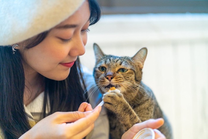 女性におやつをもらう猫