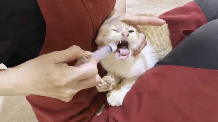 投薬中