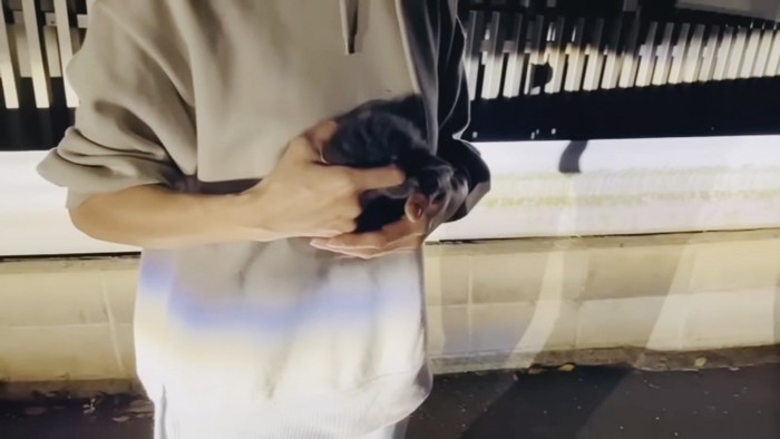 ママに保護される灰色子猫