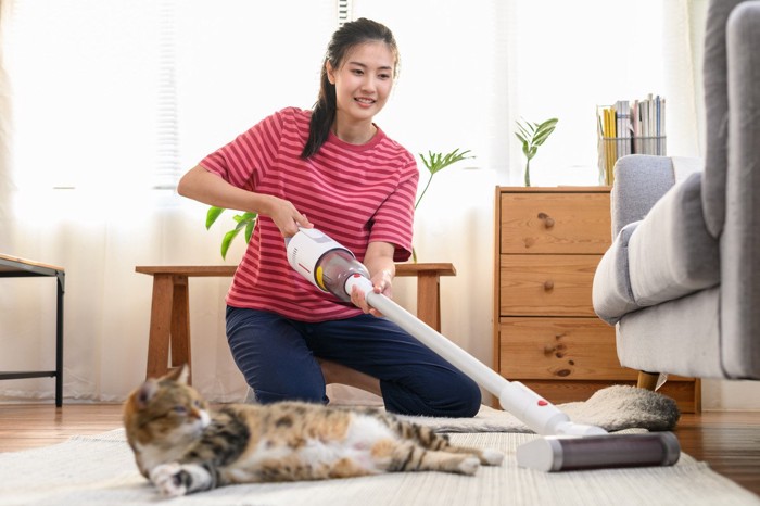 掃除機をかける飼い主を見つめる猫