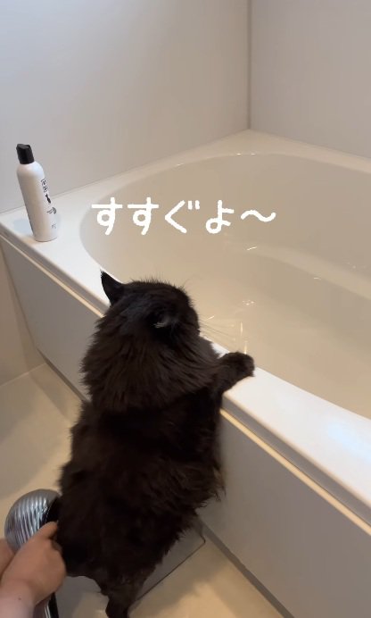 おふろでつかまり立ちをして洗われている黒猫