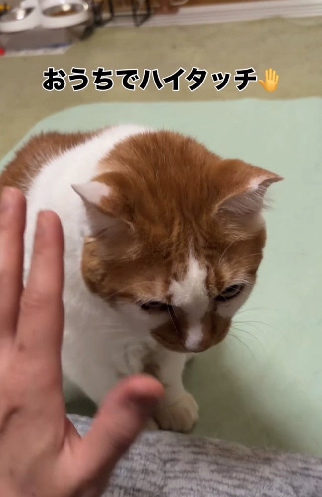 手を目の前に掲げる