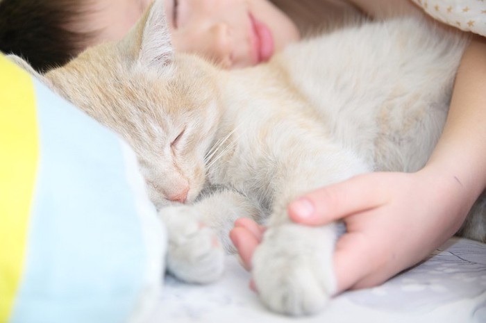 飼い主とくっついて一緒に眠る猫