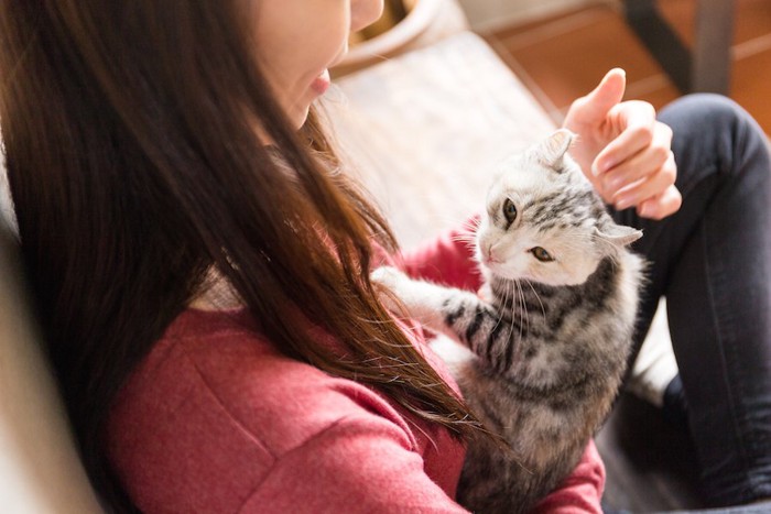 女性に抱かれている猫