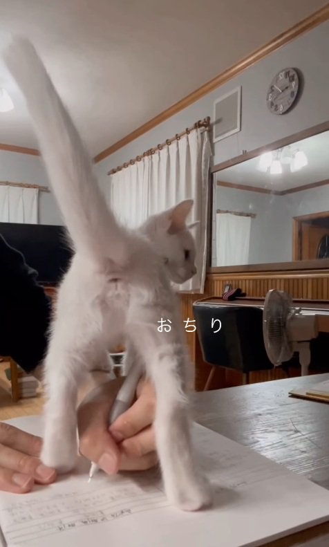 見せつけ