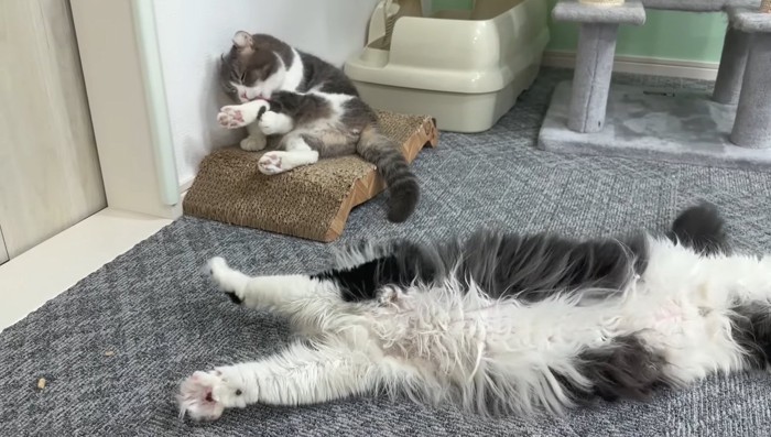 ゴロ〜ン
