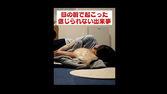 猫吸い