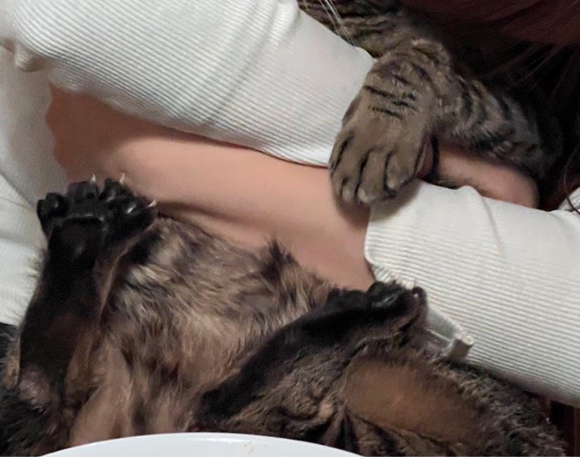 女性に抱きしめられる猫