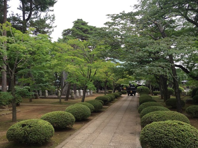 豪徳寺の庭