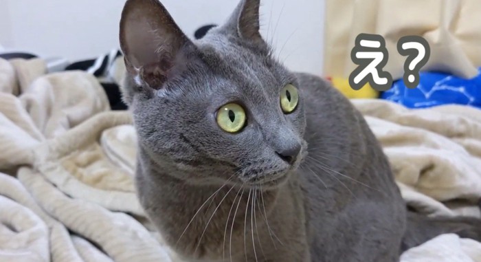 「え」と書かれた写真