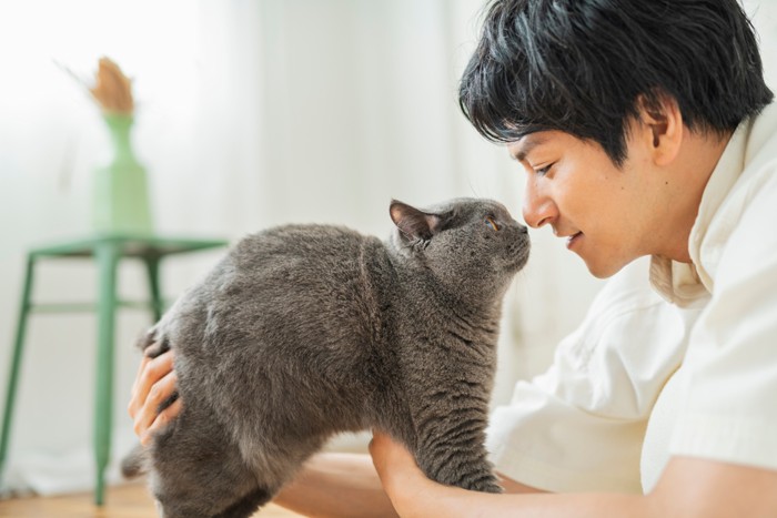 対面する人とブリティッシュショートヘア