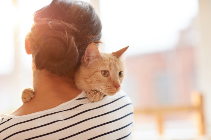 チャトラ猫を抱く女性の後ろ姿