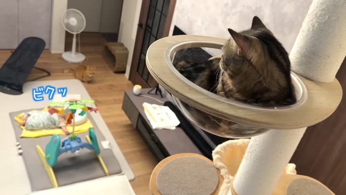 ビクッ