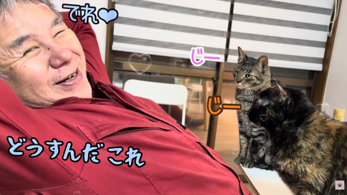 テロップ「どうすんだ これ」