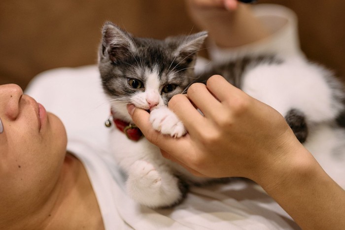 .飼い主の指を吸う猫