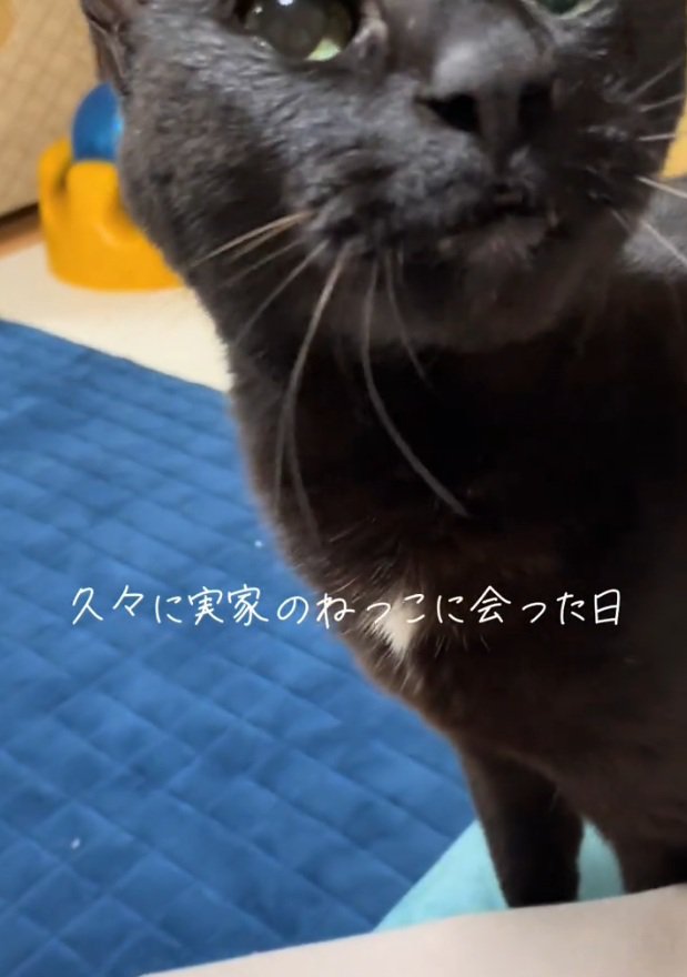 くりくりな瞳のまりんちゃん