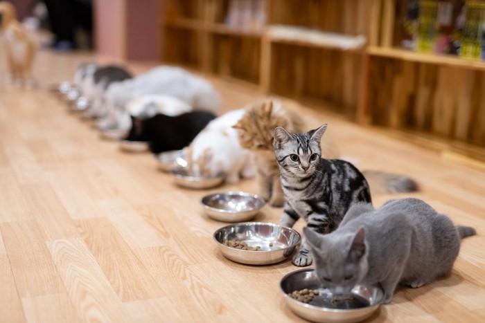 みんなでお食事タイム