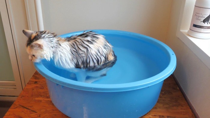 お湯に浸かって