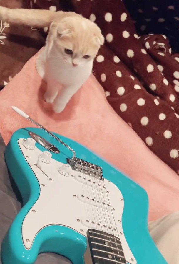 ギターを見つめるらるちゃん