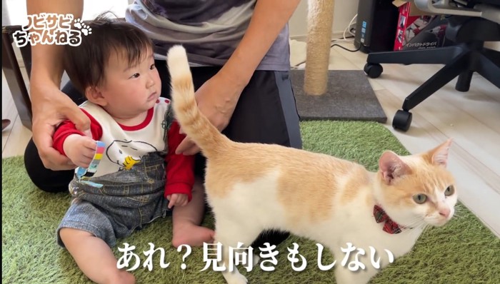 あれ？の文字と猫と赤ちゃん