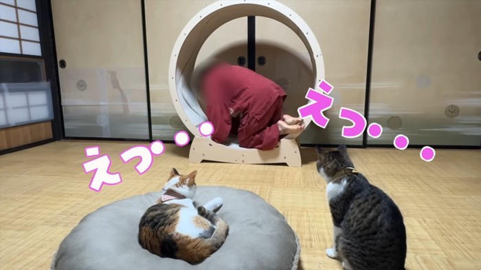 えっ…