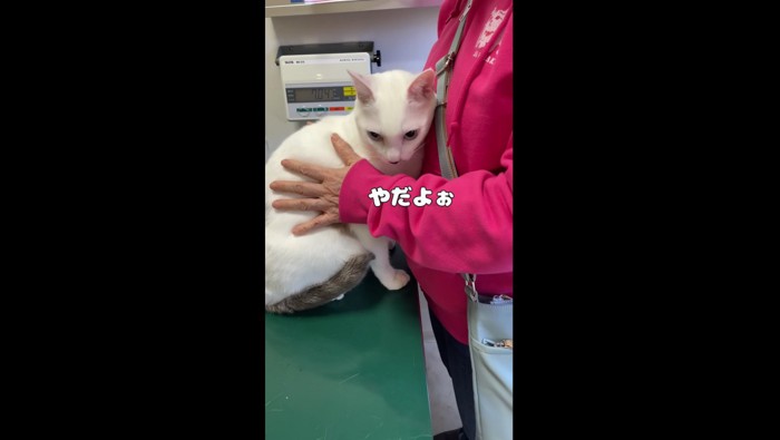 嫌がっているハクくん