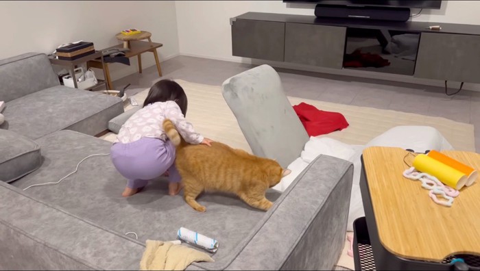 猫のお尻を軽く叩く女の子