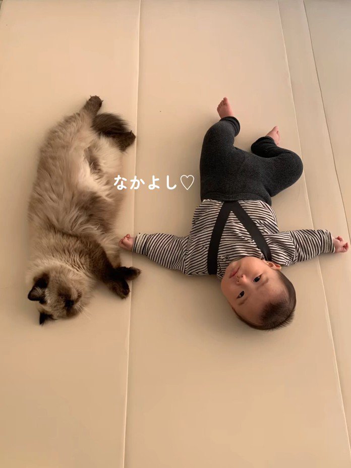 並んで寝ている赤ちゃんと猫