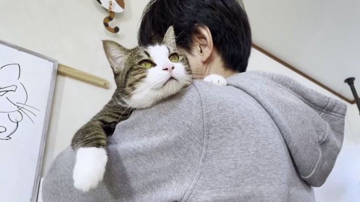 肩越しに満足そうな猫