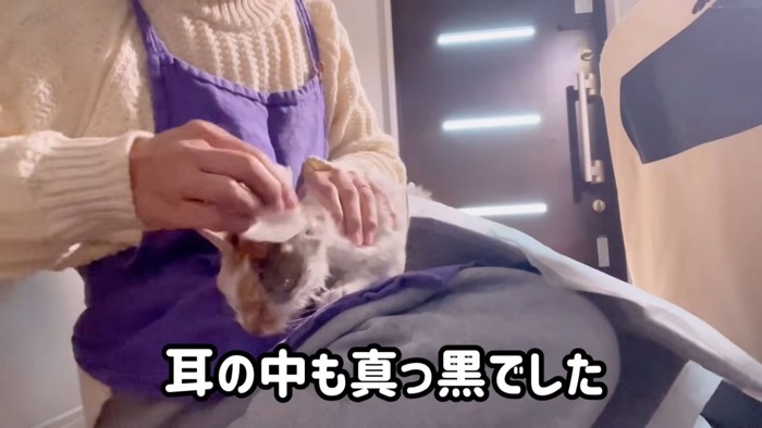 テロップ「耳の中も～」