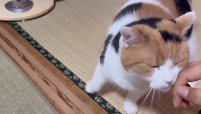 手にスリスリ