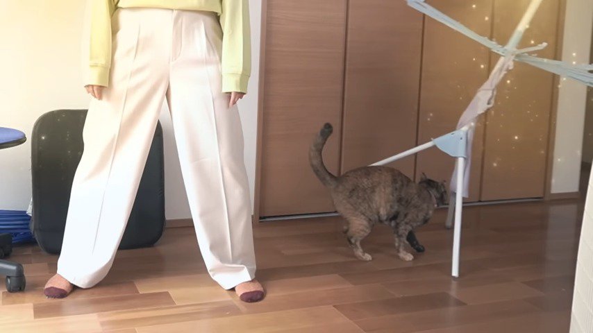 物干しを倒す猫