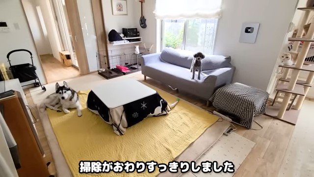 ラグの上に設置したこたつ