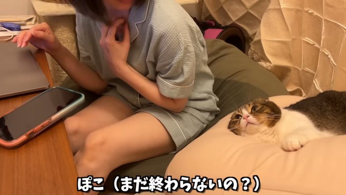 クッションの上で寝そべる猫