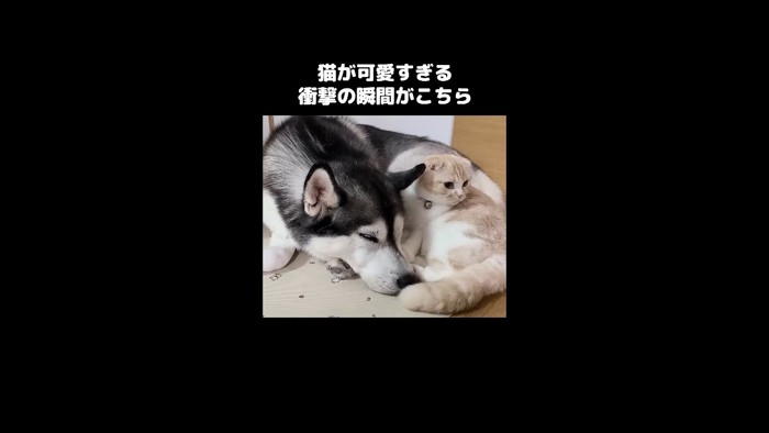 同じ方を向くふたり