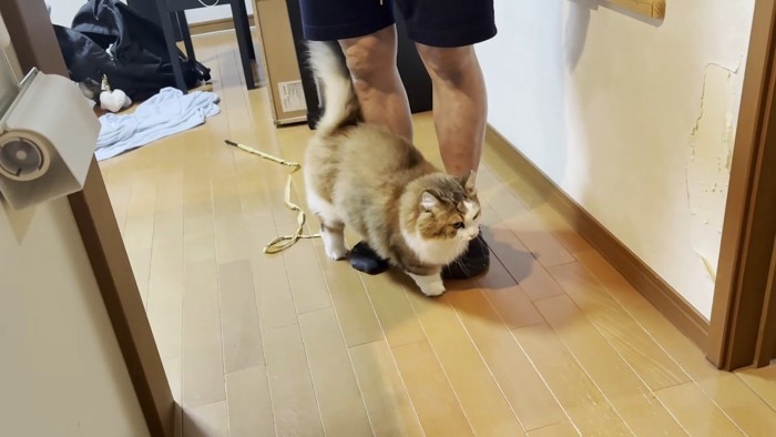 足元に密着