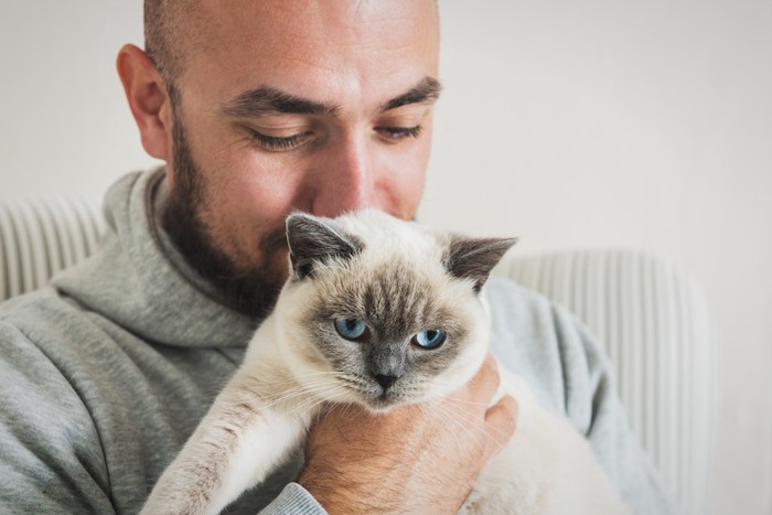 猫の匂いを嗅ぐ猫