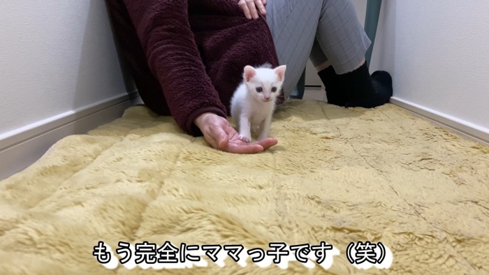 すっかりママっ子です