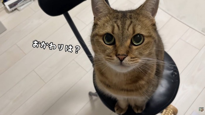 テロップ「おかわりは?」